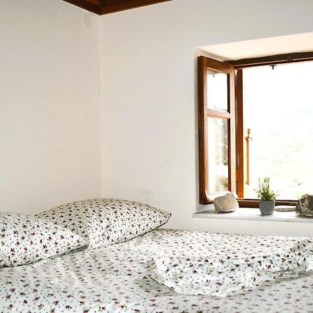Mesa Kastro Apartment Olympos  Екстериор снимка